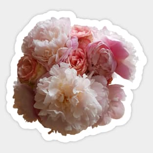 Peony Flowers and Pink Roses Sticker